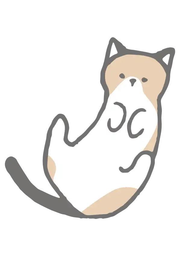 ネコの飼い方