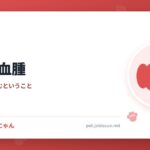 犬の耳血腫