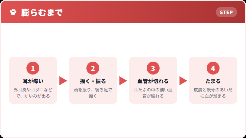 血がたまるまでの流れ