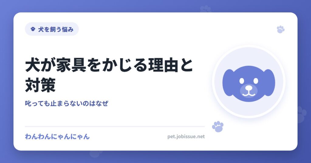 犬が家具をかじる理由と対策