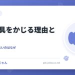 犬が家具をかじる理由と対策