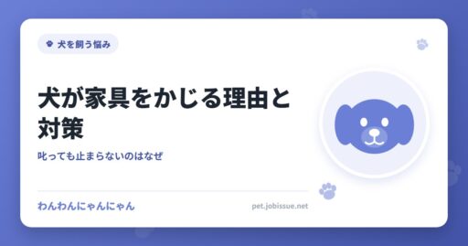 犬が家具をかじる理由と対策