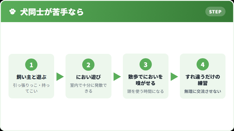 犬同士で遊べない場合の代わり