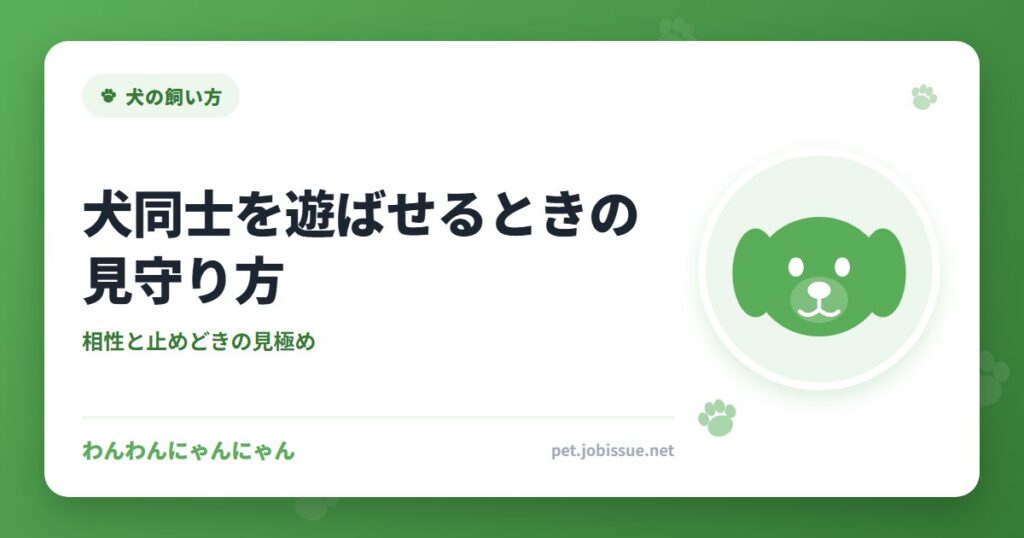 犬同士を遊ばせるときの見守り方