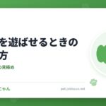 犬同士を遊ばせるときの見守り方