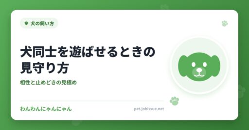 犬同士を遊ばせるときの見守り方
