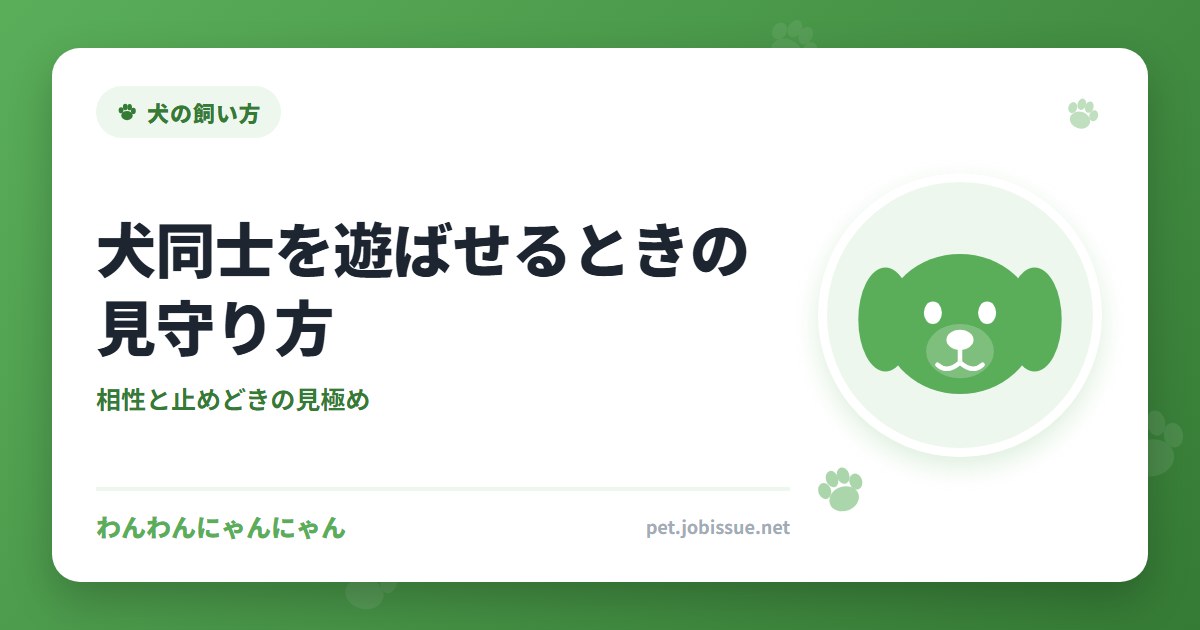 犬同士を遊ばせるときの見守り方