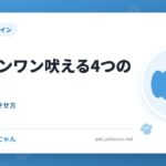 犬がワンワン吠える4つの理由