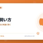 パグの飼い方