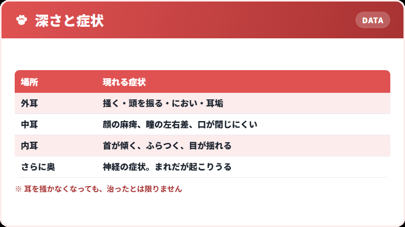 どこまで進んだかで出る症状