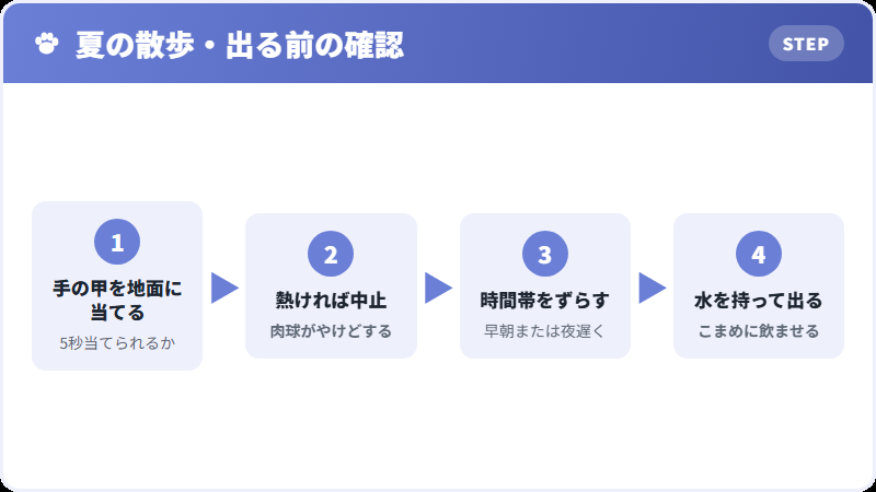 季節別の散歩の注意点