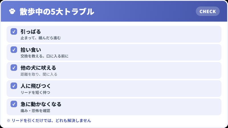 散歩中のトラブルと対処のチェックリスト