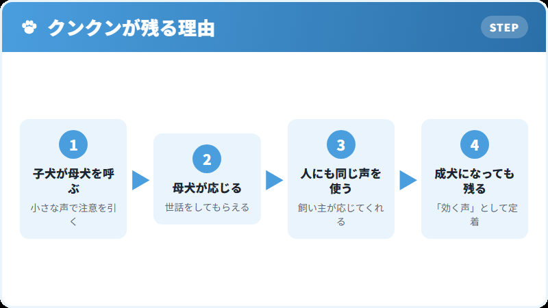 クンクンという鳴き声に込められた気持ち
