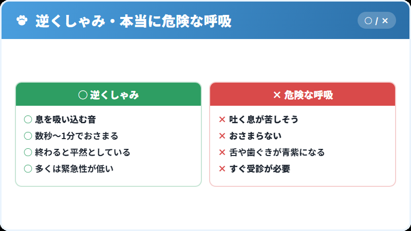 逆くしゃみの見分け方と対応