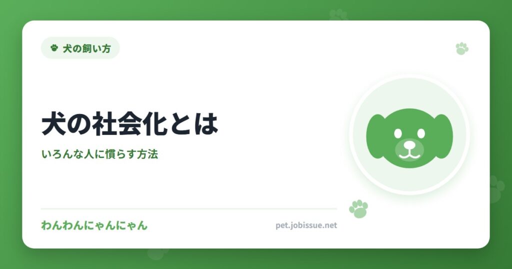 犬の社会化とは
