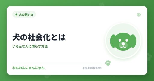 犬の社会化とは