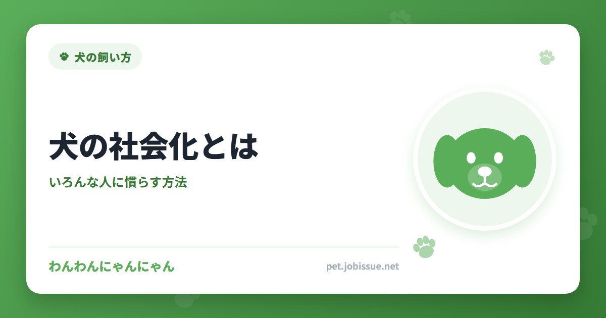 犬の社会化とは