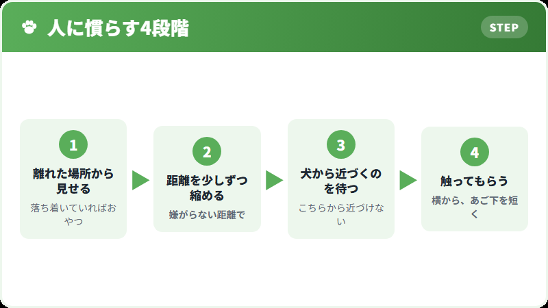 人に慣らす手順