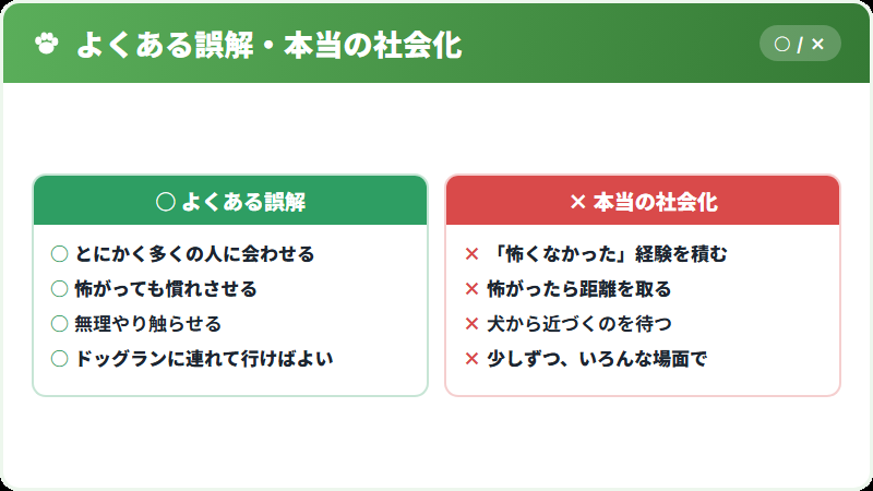 社会化の本当の意味