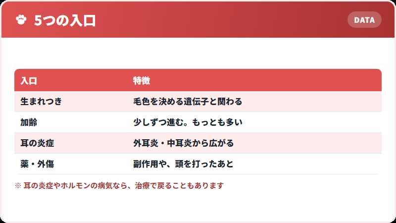 難聴の入口