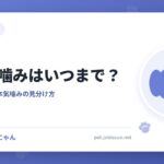 犬の甘噛みはいつまで？