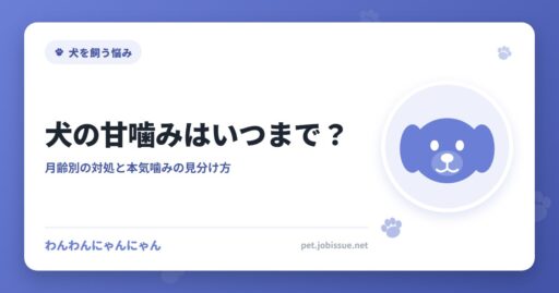 犬の甘噛みはいつまで？