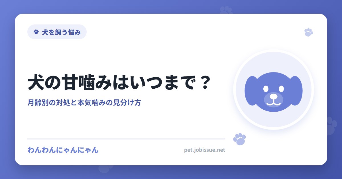 犬の甘噛みはいつまで？
