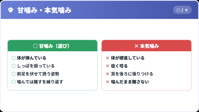 甘噛みと本気噛みの見分け方