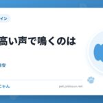 犬が甲高い声で鳴くのは痛み