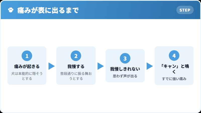 犬が痛みを隠す理由の解説