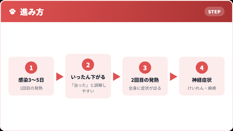 ジステンパーの経過