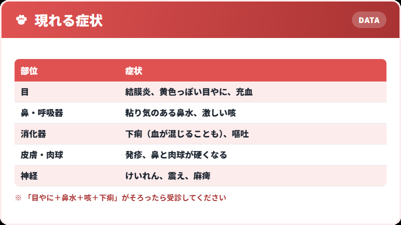ジステンパーの症状