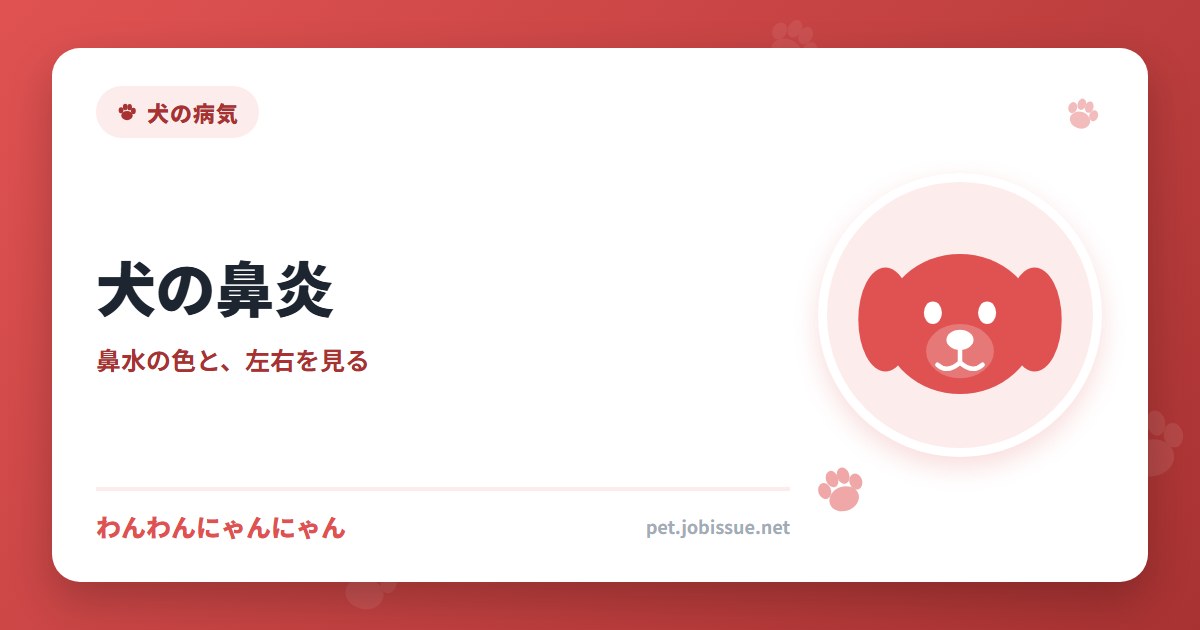 犬の鼻炎