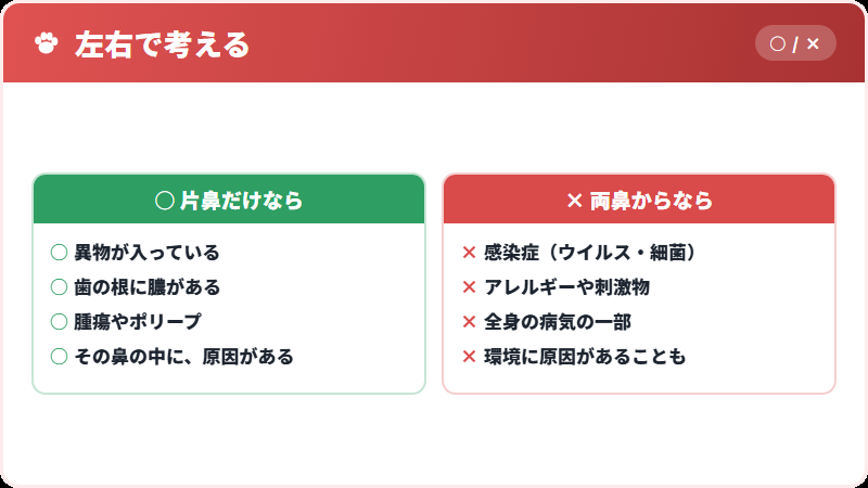 片鼻と両鼻のちがい