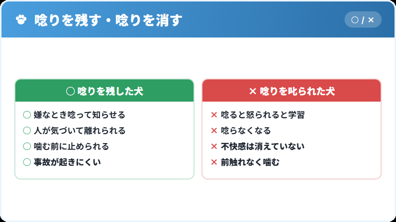 唸りを叱ると警告なしに噛むようになる仕組み