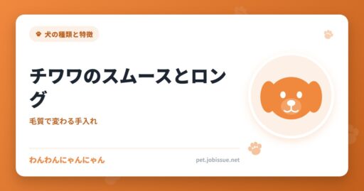 チワワのスムースとロング