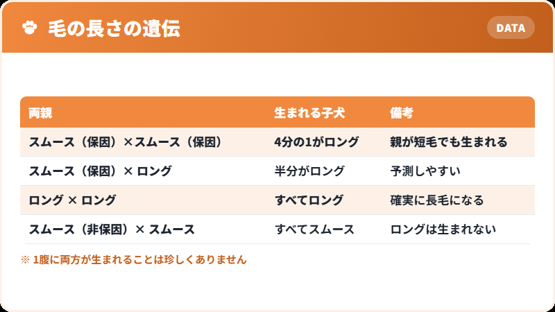 ロングコートが生まれる仕組み