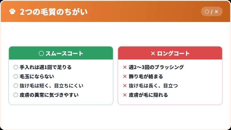 スムースコートとロングコートの比較