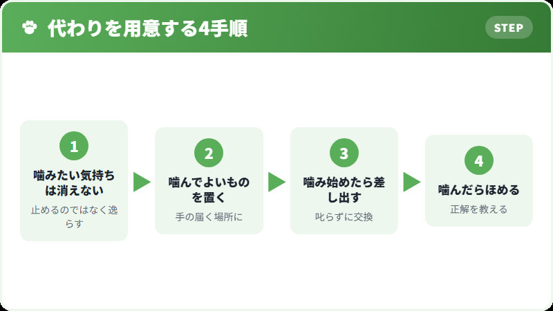噛んでよいものを用意する