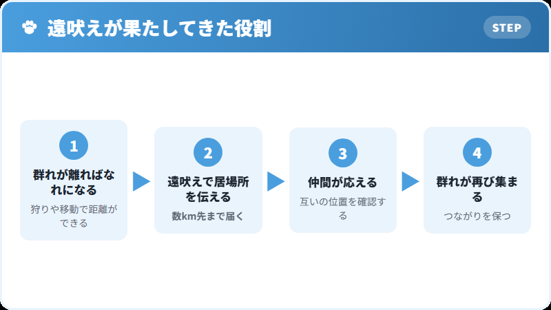 遠吠えがオオカミから受け継がれた仕組み