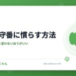 犬を留守番に慣らす方法