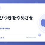 犬の飛びつきをやめさせる方法