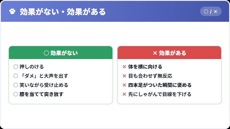 四本足がついた瞬間を褒める手順