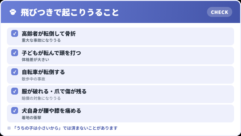 飛びつきで起こりうる事故のチェックリスト