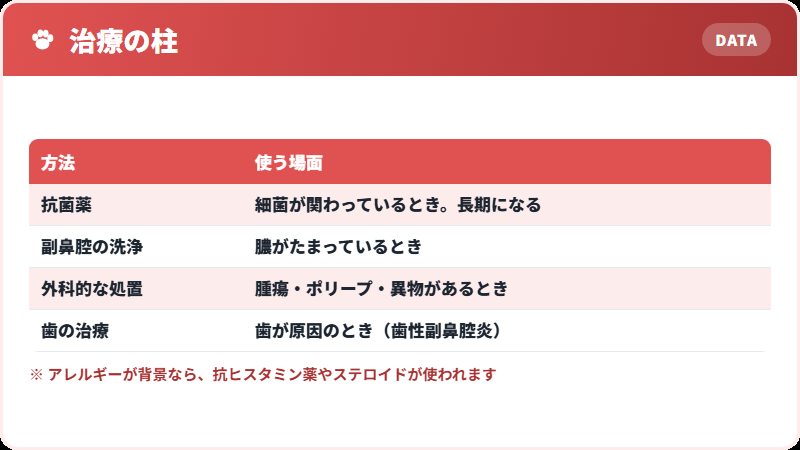 治療の選択肢