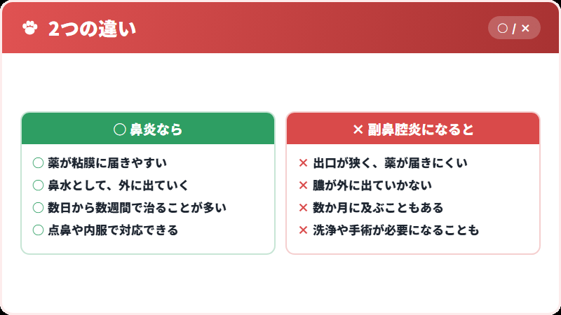 鼻炎と副鼻腔炎のちがい