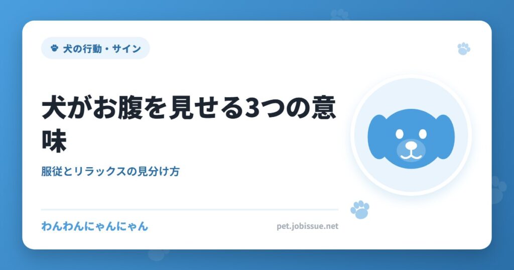 犬がお腹を見せる3つの意味