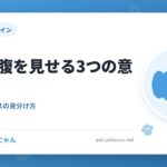 犬がお腹を見せる3つの意味