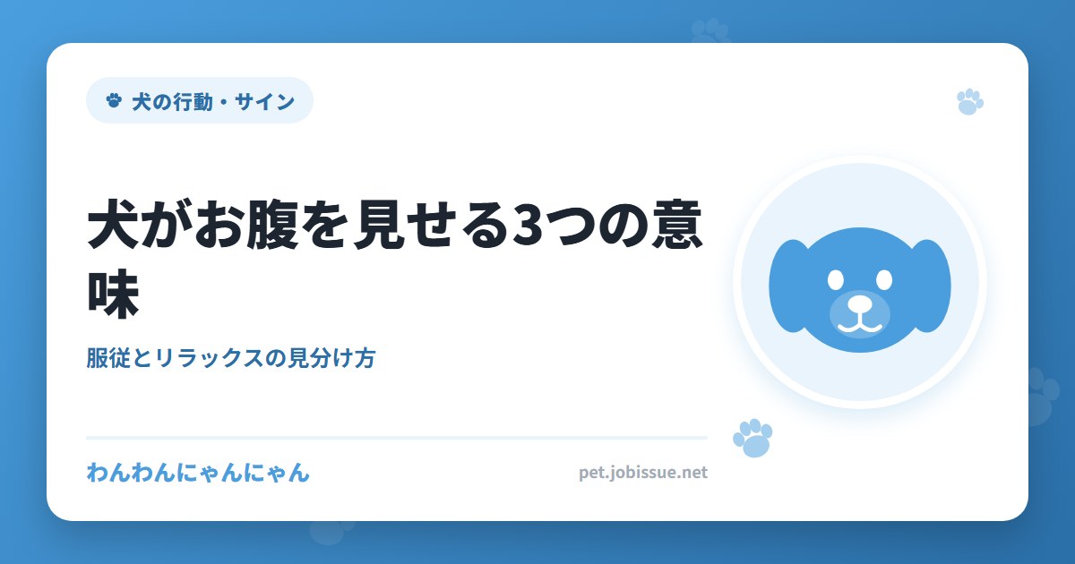 犬がお腹を見せる3つの意味