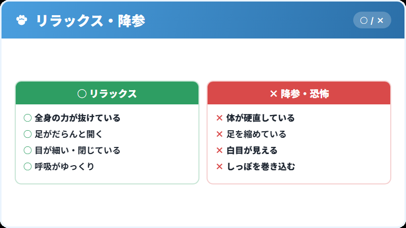 リラックスしてお腹を見せているときの特徴
